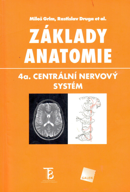 Základy anatomie 4a. Centrální nervový systém