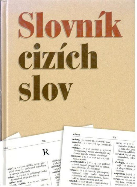 Slovník cizích slov (2006)