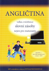 Angličtina : velká cvičebnice slovní zásoby nejen pro maturanty (2013)
