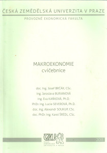 Makroekonomie : cvičebnice (2009)