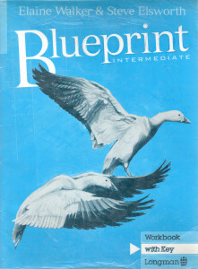 Blueprint : Intermediate Workbook