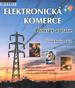 Elektronická komerce : principy a praxe